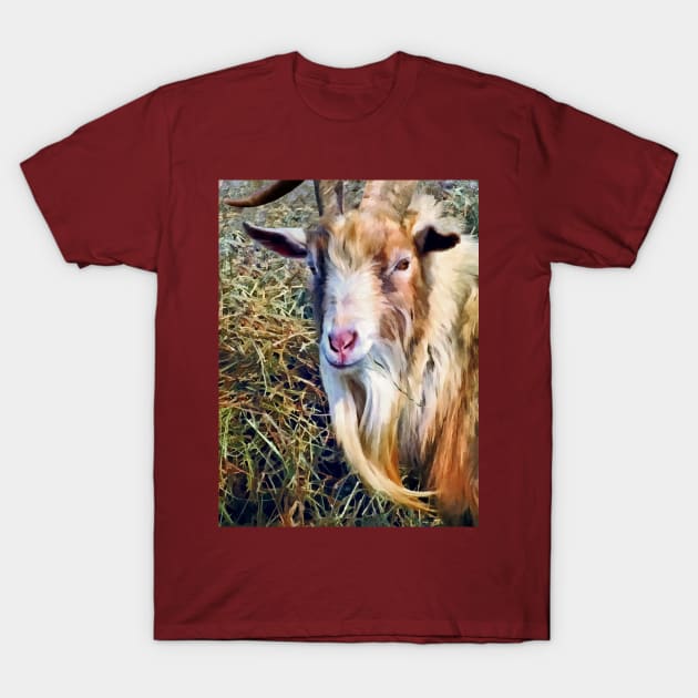 Goats - Billy Goat Closeup T-Shirt by SusanSavad